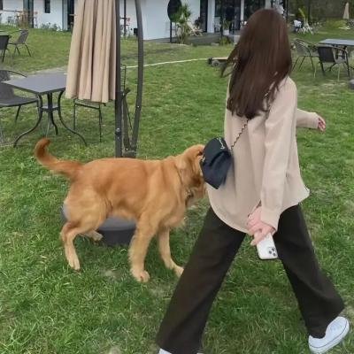 犯规王