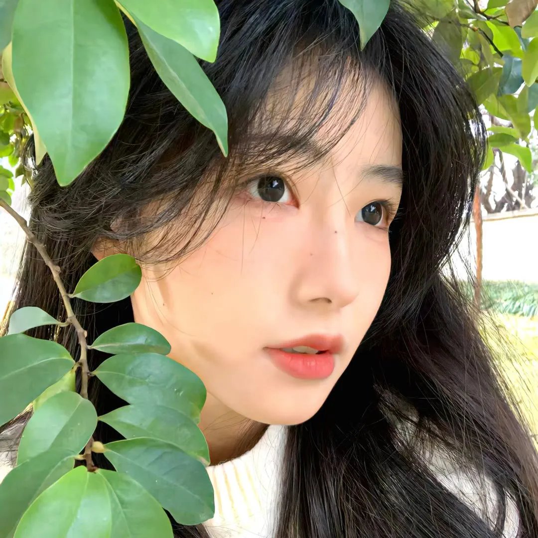 网红养成记国语